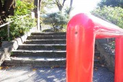 resize79782
