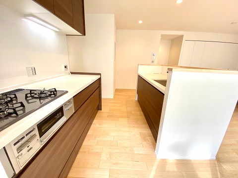 resize15554