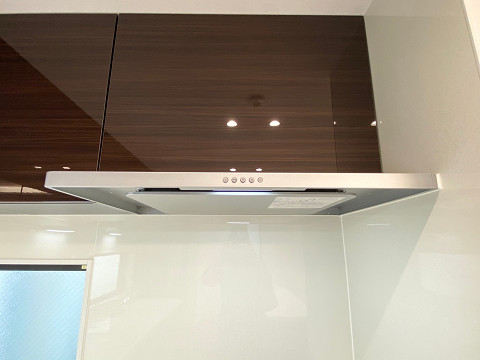 resize4374